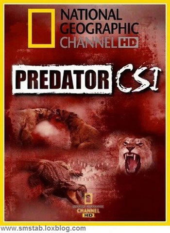 http://loxblog.ir/upload/s/smstab/image/predators-csi-cover.jpg